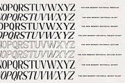 The New Memory, a Serif Font by TM Type (Thumbnail 15 of 17)