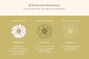 Summer Floral Patterns and Vectors, a Decorative Illustration by Emma Webb Studio (Thumbnail 3 of 14)