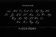 Winterskol Script Font, a Script Font by Emyself Design (Thumbnail 4 of 13)