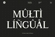 CS Reamus – Serif Typeface, a Serif Font by Craft Supply Co. (Thumbnail 5 of 8)