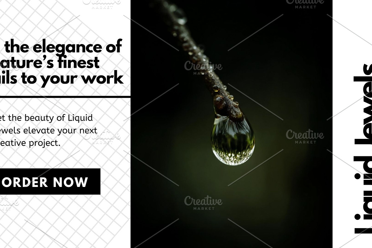 Liquid Jewels – Macro Photography, a Nature Photo by Virgo Studio (Photo 6 of 6)