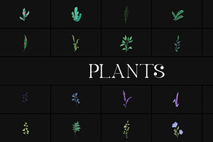 Plants for DaVinci Resolve, a Templates & Theme by 2dfx
