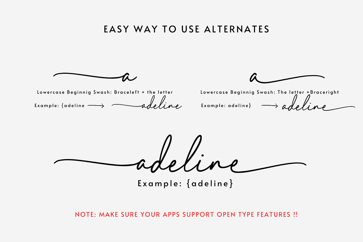 Elegant Lady, a Script Font by Sronstudio (Photo 10 of 13)