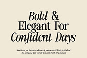 The Lumina Awesome, a Serif Font by Zane Studio (Thumbnail 2 of 12)