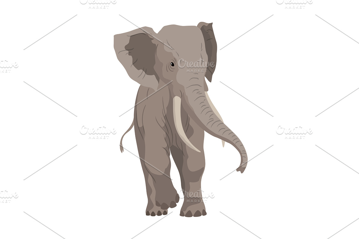 Flat vector elephant in poses, an Animal Illustration by the8monkey