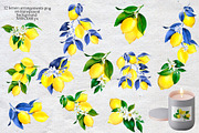 Watercolor Lemon Tiles 69 Assets, a Decorative Illustration by SunnJaneArt (Thumbnail 4 of 14)
