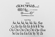Daytripper Display | Dramatic Serif, a Serif Font by wendyleftmealone (Thumbnail 3 of 7)