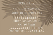 BROW VOLKY Stylish Serif Font, a Serif Font by Storytype Studio (Thumbnail 9 of 10)