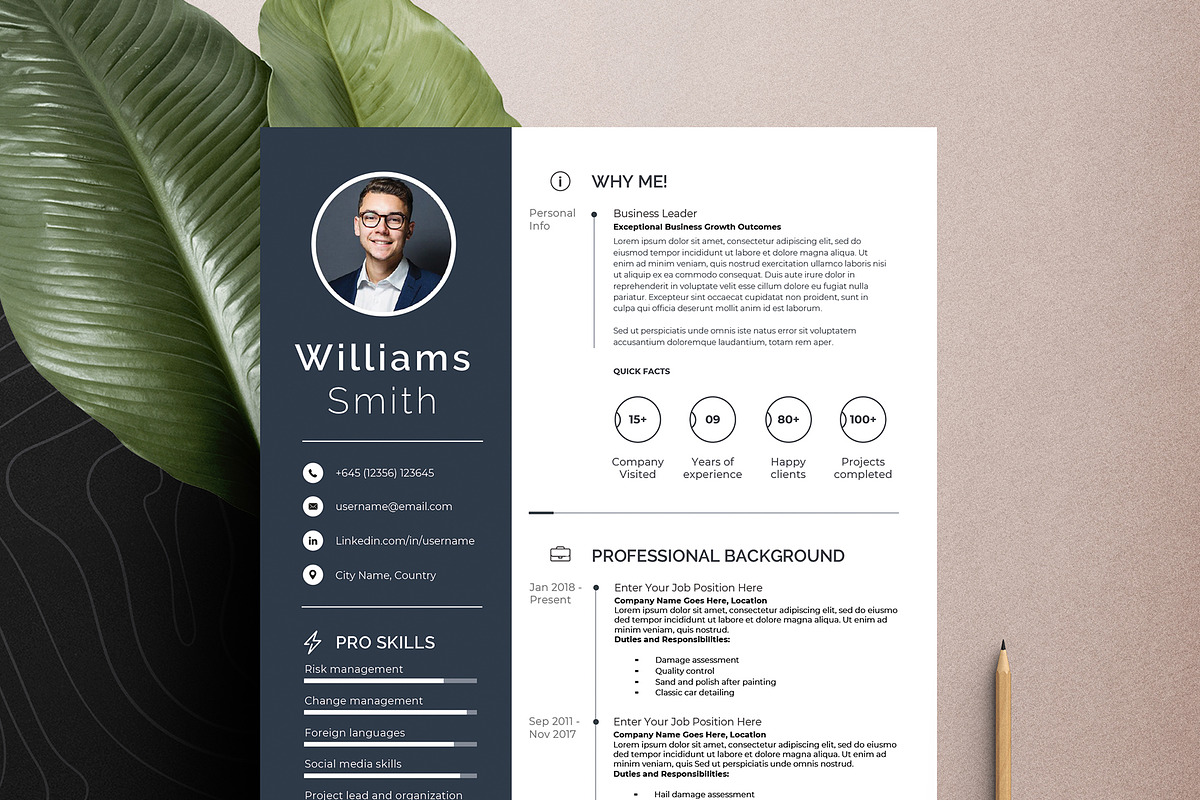 Resume Cv Template Word Apple Pages, a Resume Template by Tbunny (Photo 6 of 9)
