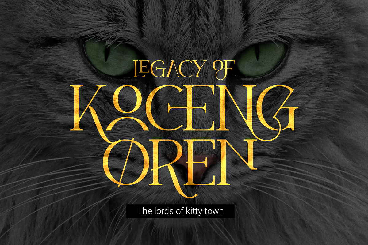 Kefago Font, a Serif Font by Grontype (Photo 3 of 11)