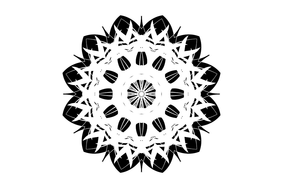 Modern Black and White Mandala Pack, a Decorative Illustration by NJ Himel (Photo 92 of 101)