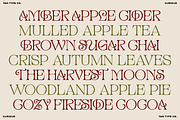 TAN - CURIOUS, a Serif Font by TanType (Thumbnail 6 of 11)