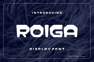 Roiga - Display Font