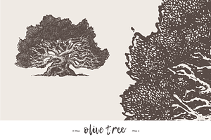 Big Collection Of High Detail Trees