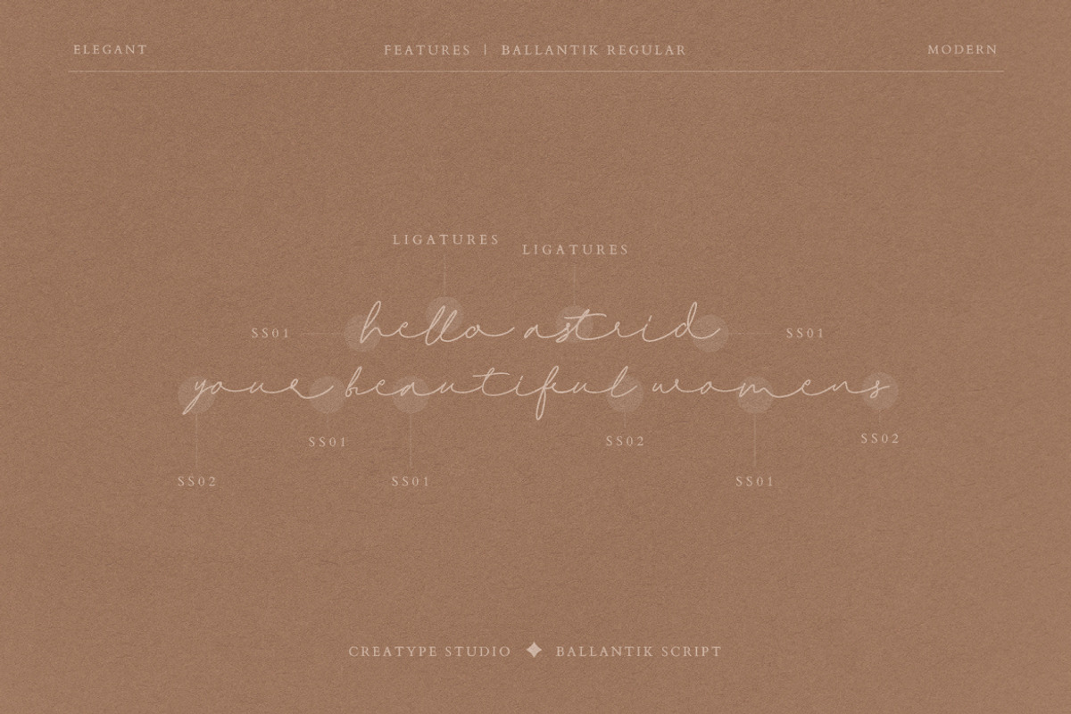 Ballantik Modern Monoline Script, a Script Font by Creatype Studio (Photo 5 of 9)