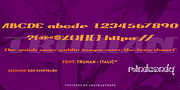 Trumen™, a Serif Font by MINDCANDY (Thumbnail 2 of 5)