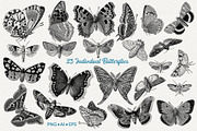 Les Papillons No 1, an Animal Illustration by French Kiss Collections (Thumbnail 2 of 7)