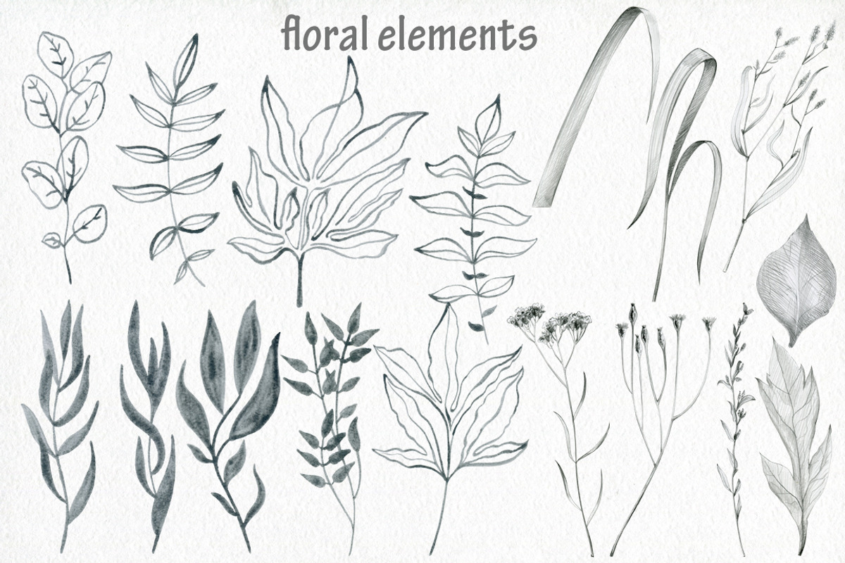 Butterflies and floral collection., an Illustration by TaPilipa (Photo 4 of 13)
