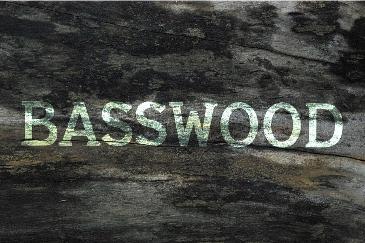 Basswood Serif Font preview 2