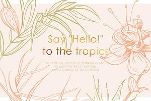 Tropical Illustrations & Patterns