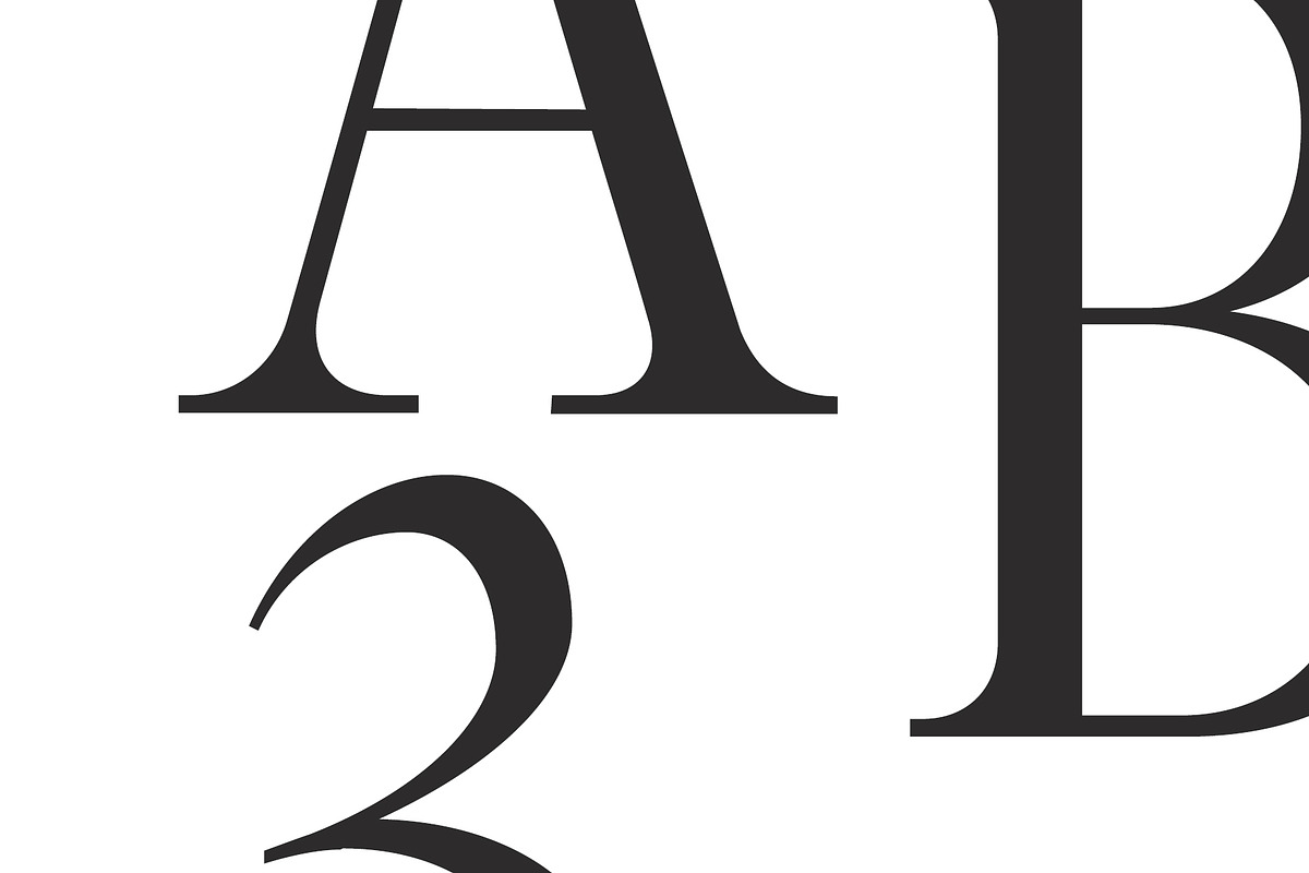 Glamour Luxury Serif Font Family preview 4