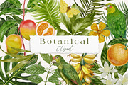 Vintage Botanical clipart, an Object Graphic by mila_leev (Thumbnail 1 of 8)