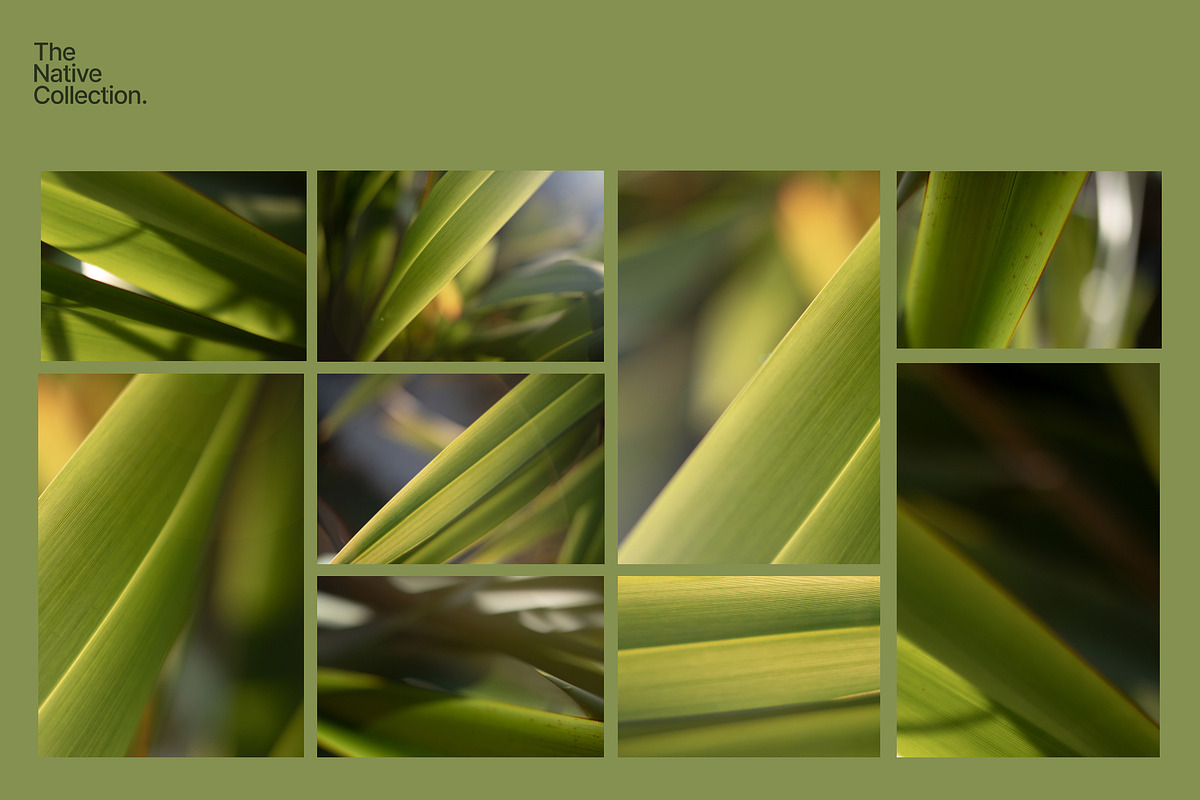 Natural textures - Green edition v02, a Texture Graphic by Haehae photography (Photo 3 of 7)