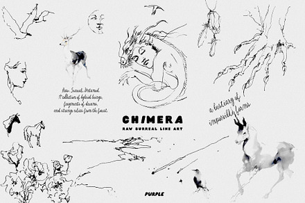 CHIMERA: Raw Surreal Line Art, an Animal Illustration by Purple