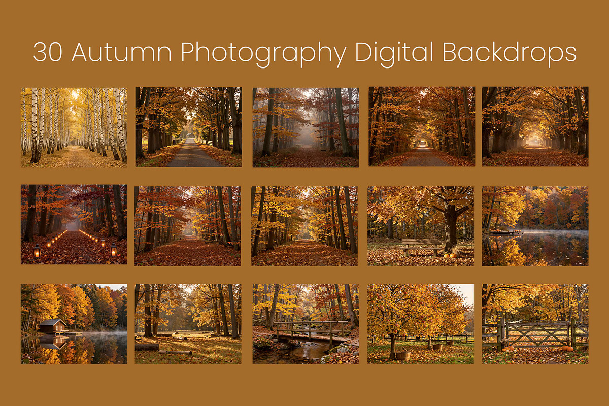Autumn Photography Digital Backdrops, a Background Graphic by 3Motional (Photo 9 of 19)