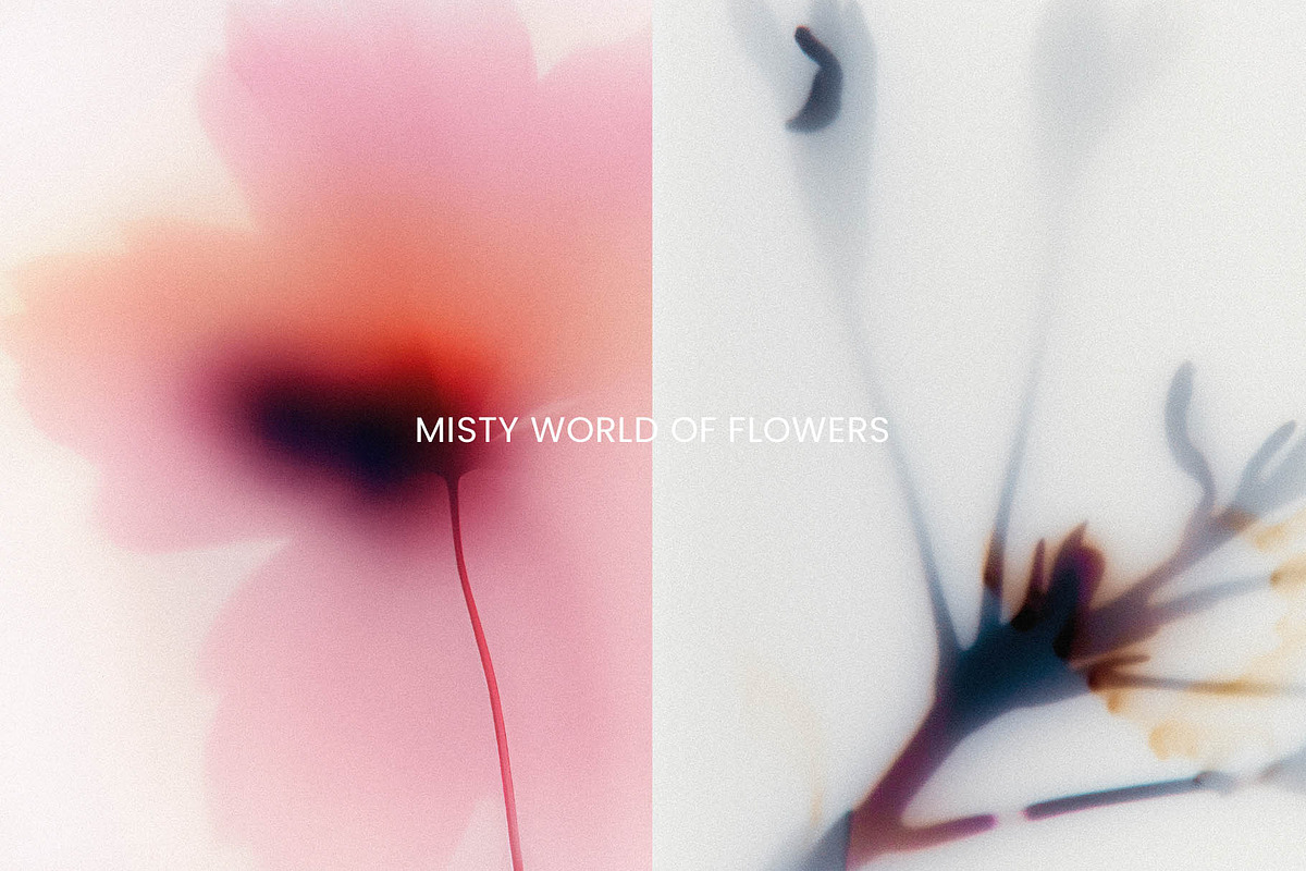 Foggy Flower Collection, a Background Graphic by nkate (Photo 3 of 11)