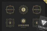 500 ornaments logos & monograms, a Branding & Logo Template by Vasya Kobelev (Thumbnail 18 of 31)