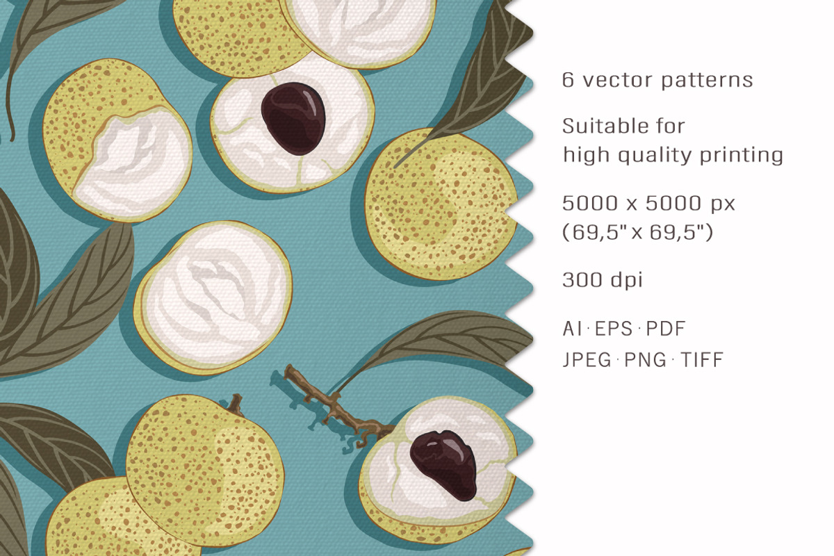 Longan - Set patterns, a Pattern Graphic by Yummy (Photo 2 of 11)