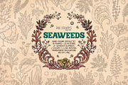 Seaweeds, an Object Illustration by Ink Stories (Thumbnail 1 of 24)