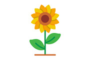 Sunflower Flat Icon, an Icon by Pexelpy (Thumbnail 1 of 2)