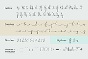 Clarette Dior - Handwritten Font, a Script Font by Designova® (Thumbnail 8 of 8)
