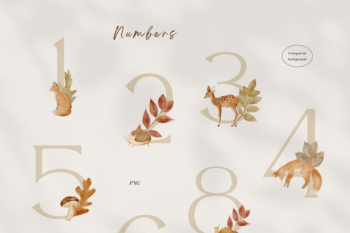 Woodland Watercolor Autumn Set, an Animal Illustration by Jenteva Art (Photo 7 of 15)