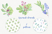 Watercolor leaves, berries, flowers, an Object Graphic by Irina Diasli (Thumbnail 6 of 6)