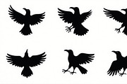 Flying Bird Silhouette Bundle, an Illustration by hafijul (Thumbnail 10 of 10)