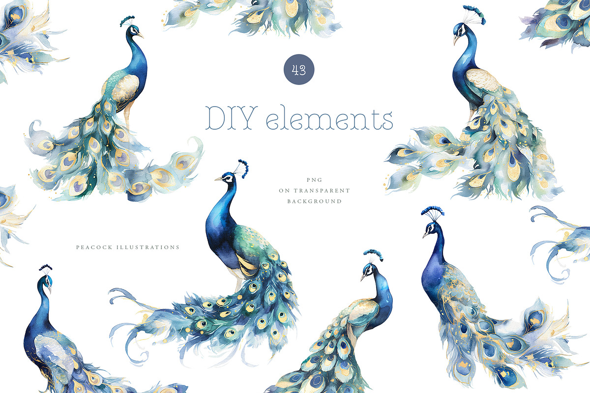 Watercolor vintage birds peacock, an Animal Illustration by MariGraphic boutique (Photo 8 of 8)