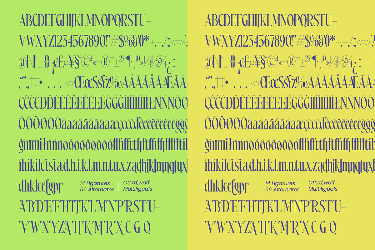 Most Pixels Modern Elegant Serif, a Serif Font by timelesstype.co (Photo 14 of 15)