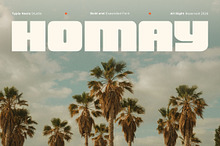 Homay - Bold Modern Expanded Retro