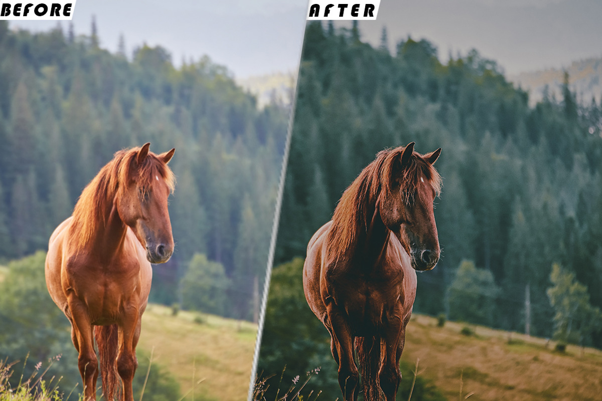 Wanderlust Video Luts And Presets, a Brushes & More by one-touch (Photo 2 of 6)