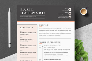 Word Clean Resume Template