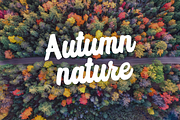 Sheraton, a Script Font by Larin Type Co. (Thumbnail 4 of 8)