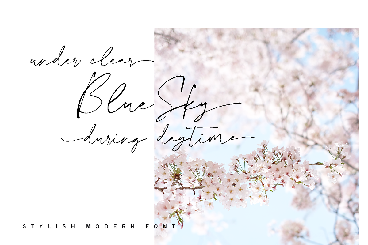 Collection - NEW STYLE, a Script Font by alphArtype (Photo 13 of 16)