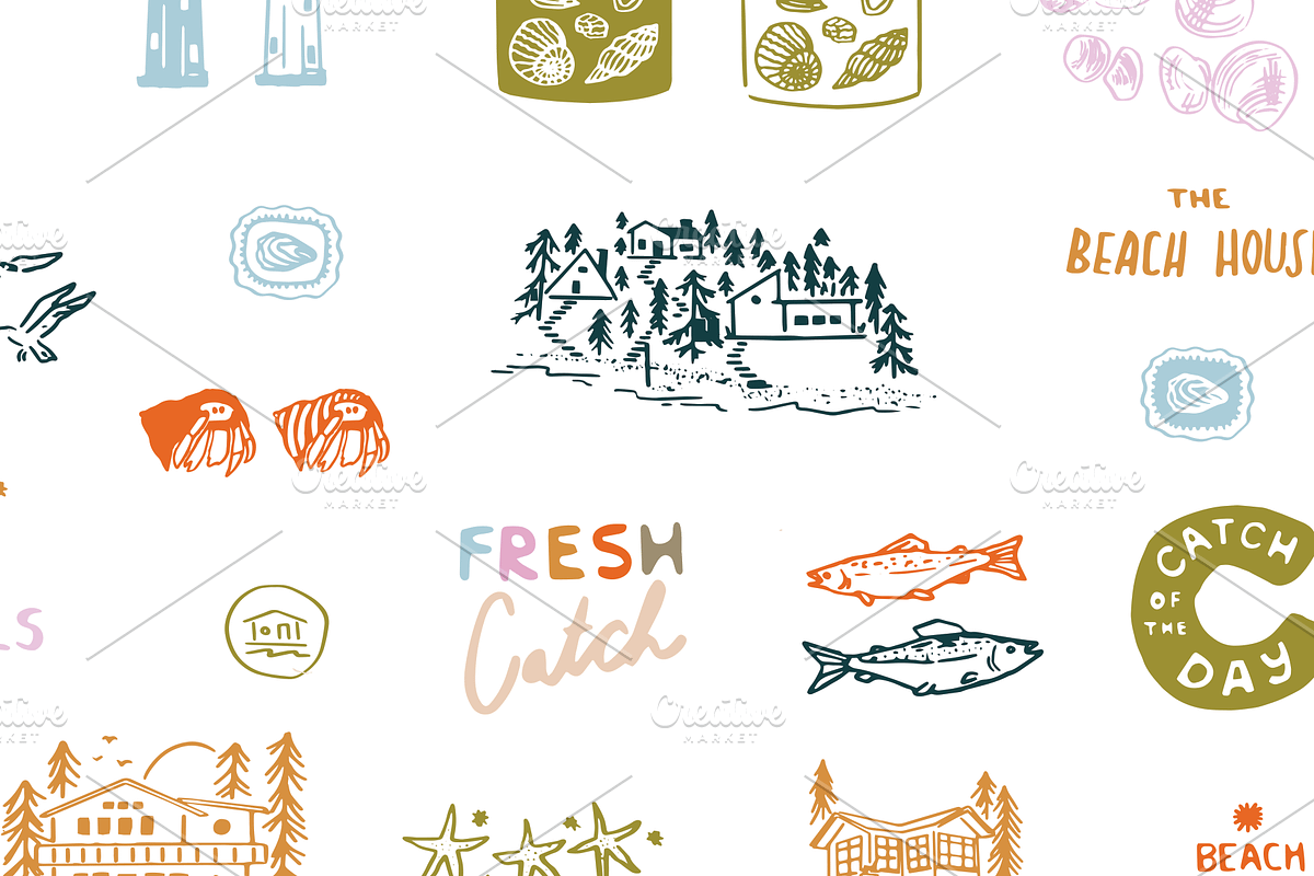 Pacific Northwest Beach Collection, an Animal Illustration by Mere Hunter (Photo 3 of 6)