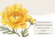 Watercolor Yellow Flower Clipart, an Object Illustration by Design Scotch (Thumbnail 6 of 7)