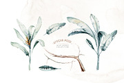 African animals watercolor set, an Animal Illustration by Peace ART (Thumbnail 8 of 24)