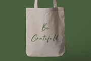 Photography Moments - Calligraphy, a Handwritten Font by Arendxstudio (Thumbnail 7 of 9)