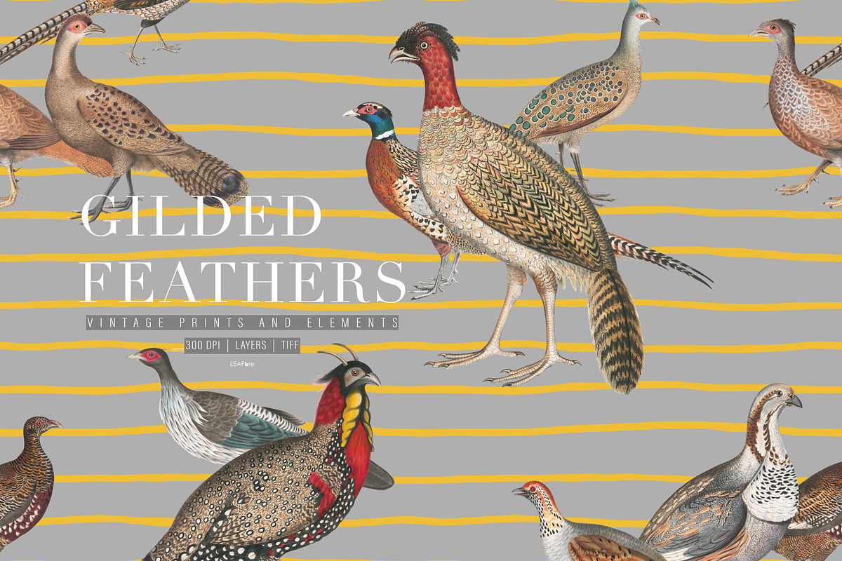 Gilded Feathers Vintage Prints 2026, a Pattern Graphic by LEAFure (Photo 1 of 10)